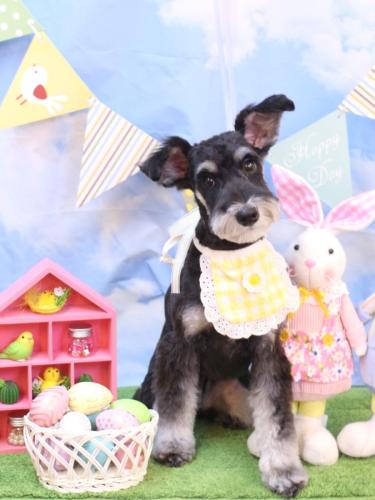 20240324音ちゃん